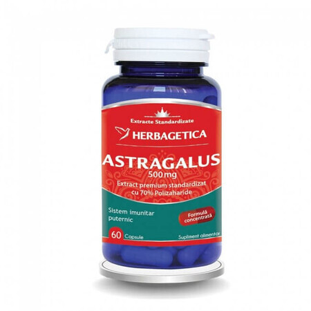 Astragale 500 mg, 60 gélules, Herbagetica
