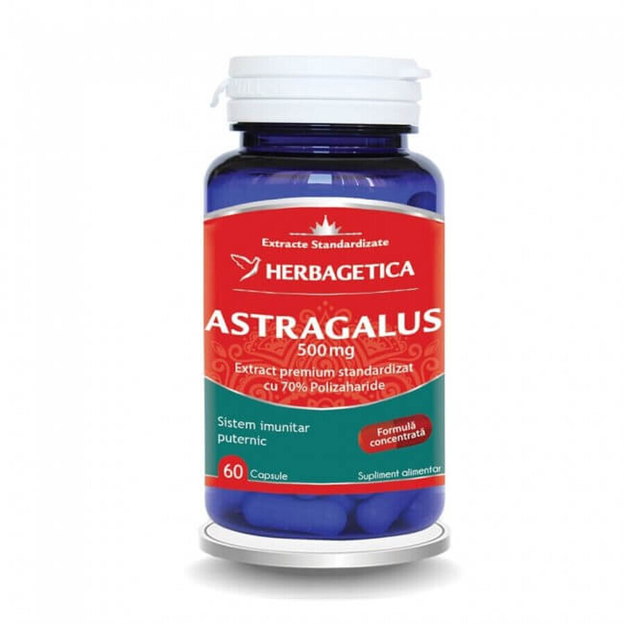 Astragalus 500 mg, 60 capsules, Herbagetica