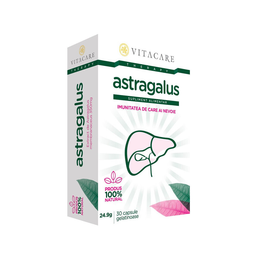 Astragalus Forte, 30 Kapseln, Vitacare