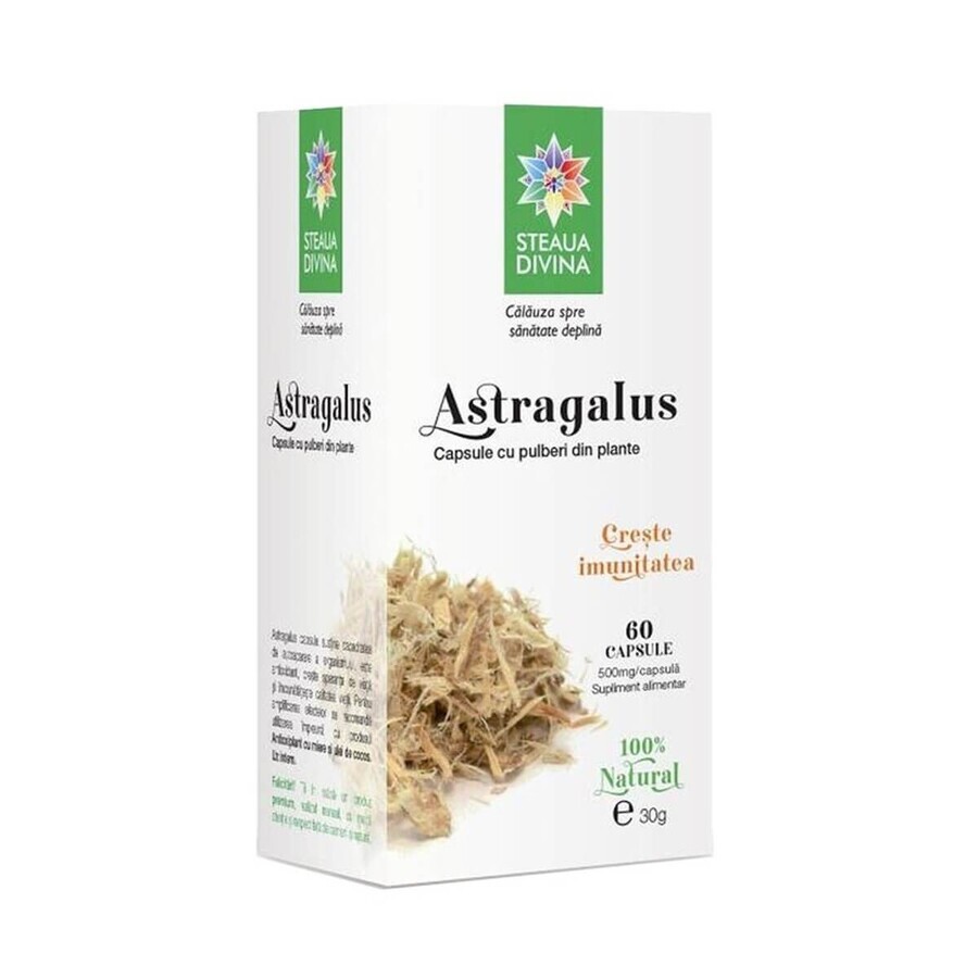 Astragalus, 60 capsule, Steaua Divină