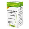 Hennepolie 1000mg, 40 capsules, Hofigal