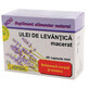 Lavendelolie, 40 capsules, Hofigal