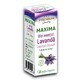 Etherische olie lavendel Maxima, 10 ml, Justin Pharma