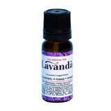 Lavendel etherische olie, 10 ml, Divine Star