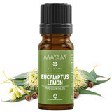 Etherische olie eucalyptus citronaat (M - 1326), 10 ml, Mayam