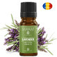 Lavendel reines &#228;therisches &#214;l (M - 1404), 10 ml, Mayam