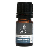 Tamarinde essentiële olie (Boswellia neglecta) Puur 100% Biologisch ECOCERT, 5 ml, SOiL