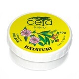 Pommade Beat, 40 g, Ceta Sibiu