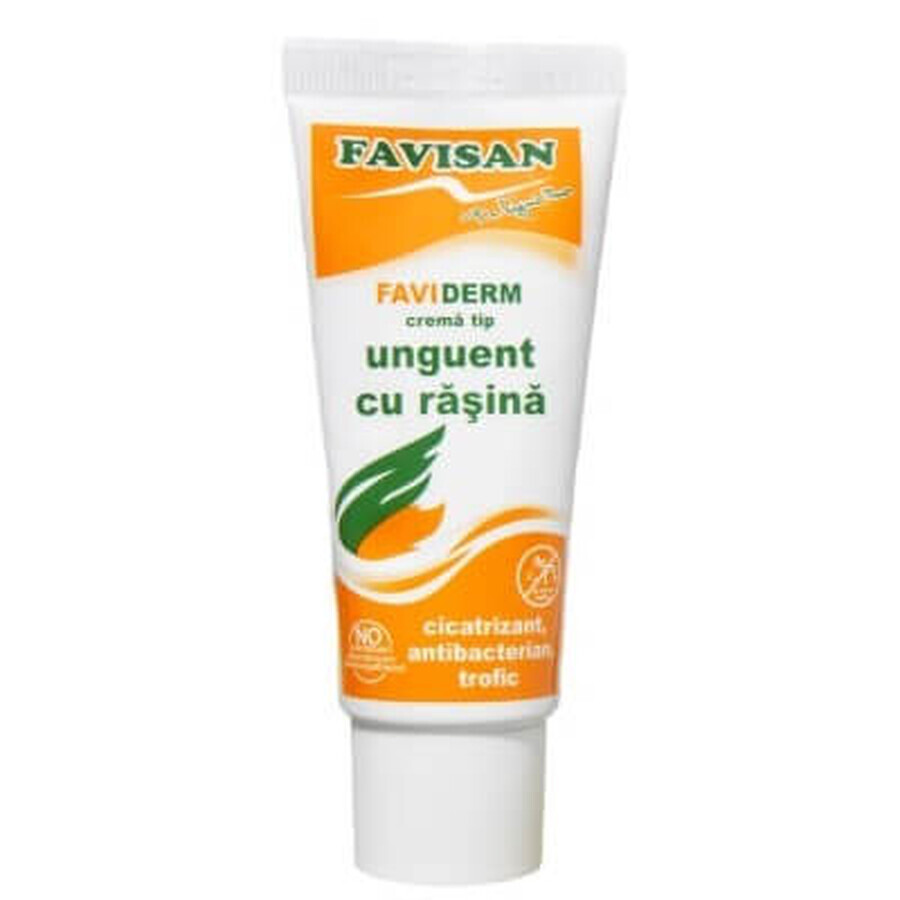 Unguento alla resina Faviderm, 40 ml, Favisan