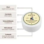 Pomada Reumática Manteca de Tierra y Tataneasa, 100ml, Faunus Plant