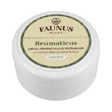 Pommade rhumatismale Beurre de terre et Tataneasa, 100ml, Plante Faunus