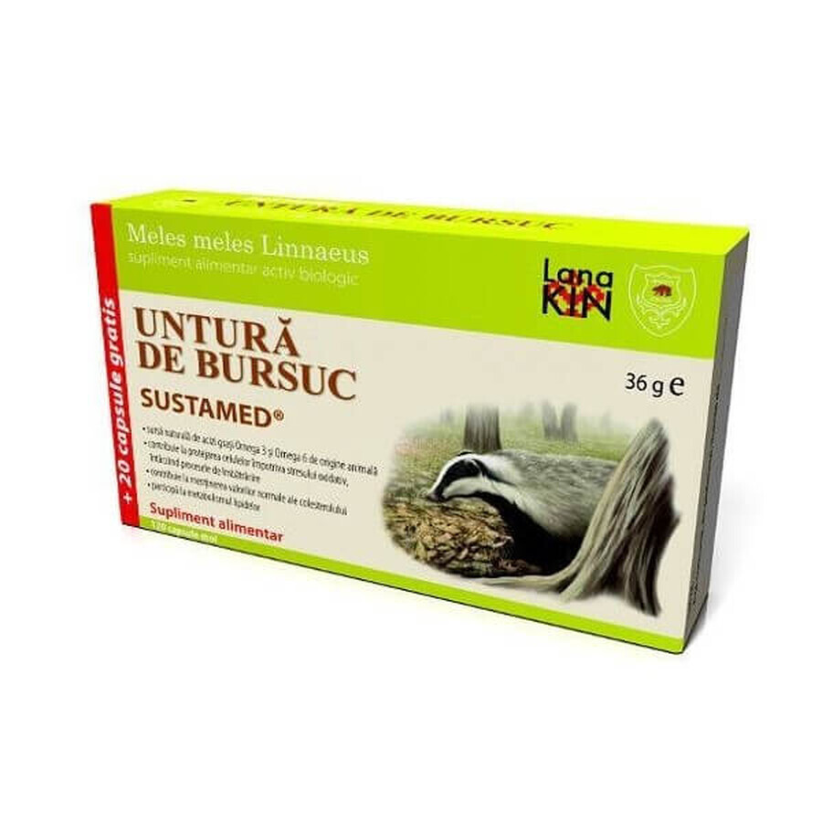 Untură de bursuc, 100 + 20 capsule, Sustamed recenzii