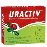 Uractiv, 21 gélules, Fiterman Pharma