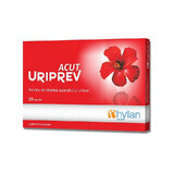 Uriprev Acut, 10 gélules, Hyllan