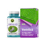 Ventrilica, 60 capsules, Hypericum