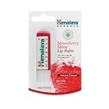 Lippenbalsem aardbei, 4,5 g, Himalaya