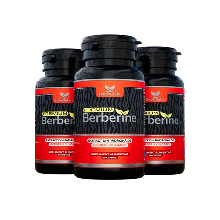 Berberine Premium 600 mg, 60 capsules, Boost4Life