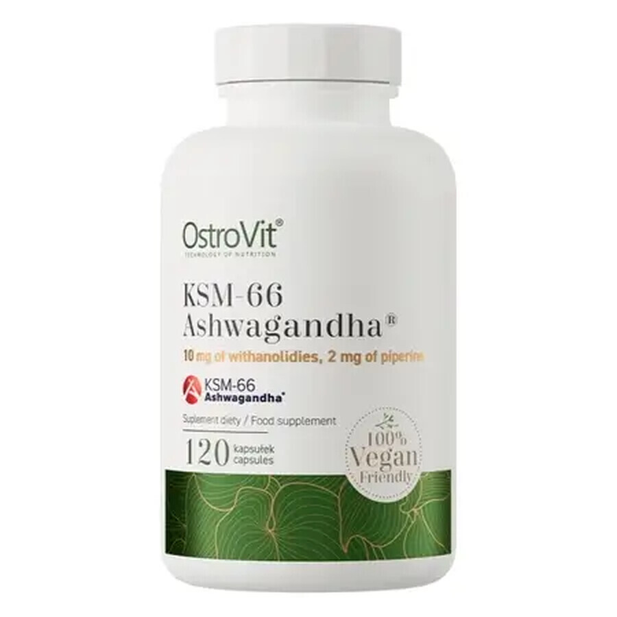 Ashwagandha KSM-66, 120 Kapseln, OstroVit