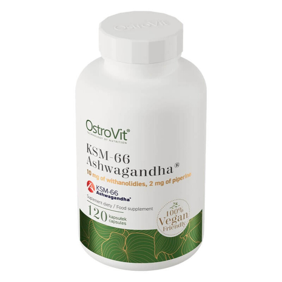 Ashwagandha KSM-66, 120 capsule, OstroVit