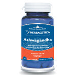 Ashwagandha, 30 Kapseln, Herbagetica