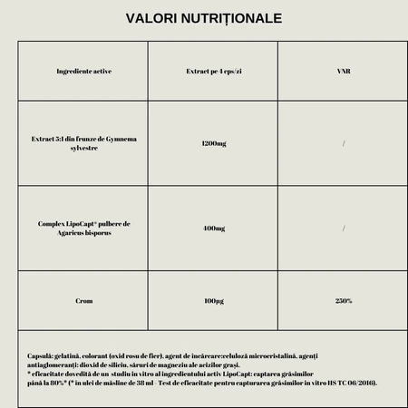 XtraSlim CAPTURE 3 in 1, 60 Kapseln, Forte Pharma