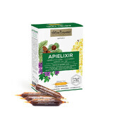 APIELIXIR salute vie respiratorie Albina Carpatina, 20 fiale x 10 ml, Apicola