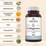Collagen type 2 for joints, bones, skin and hair Colagenus, 60 capsules, Faunus Plant