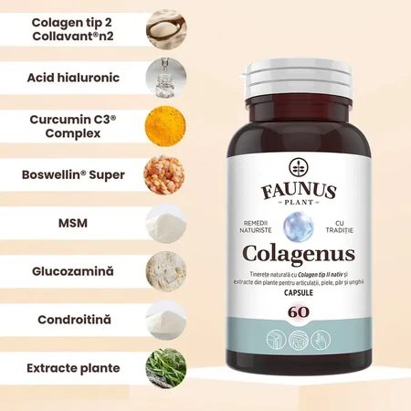 Collagen type 2 for joints, bones, skin and hair Colagenus, 60 capsules, Faunus Plant