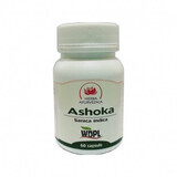 Ashoka, 60 capsules, Ayurvedisch Kruid