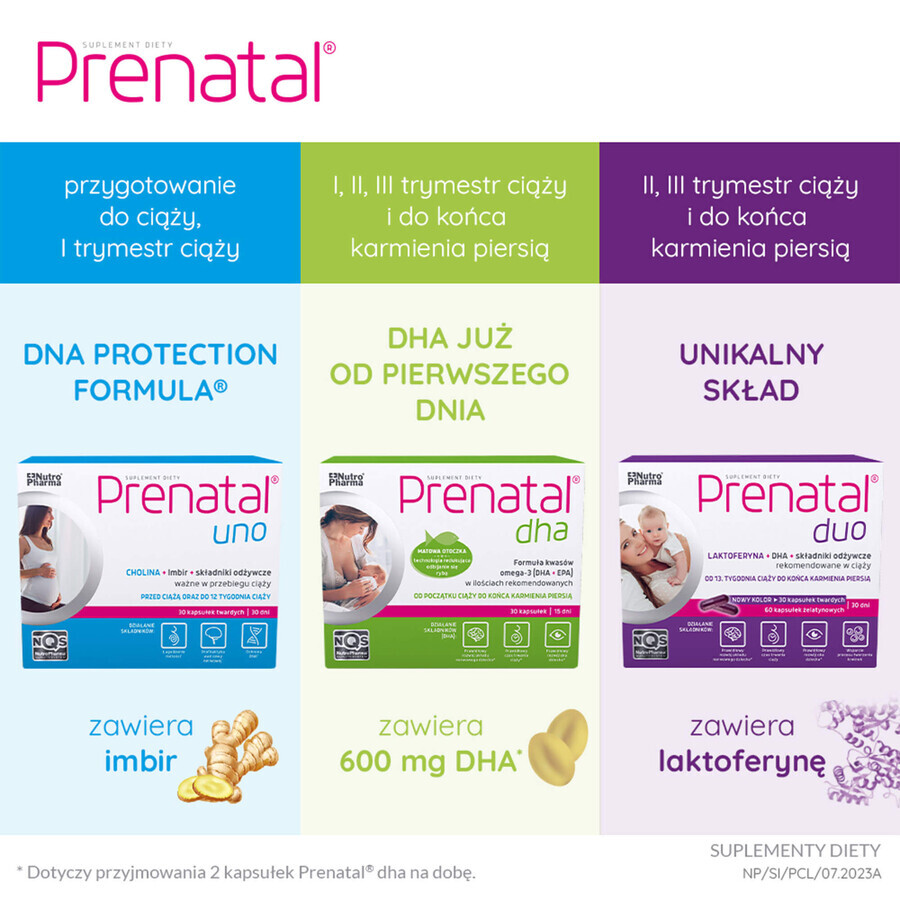 Prenatal Classic, 90 capsule tari