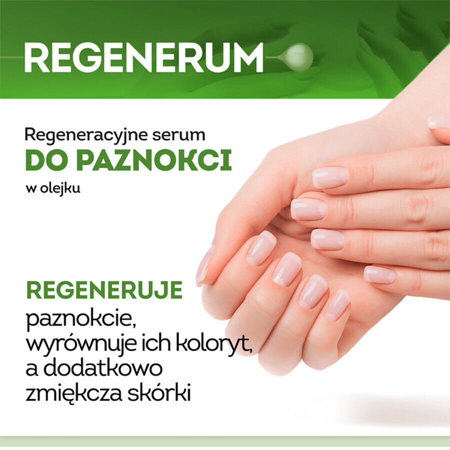 Regenerum, sérum régénérant pour les ongles, 5 ml