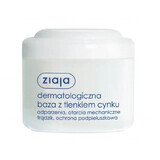 Ziaja, dermatological base with zinc oxide, 80 g