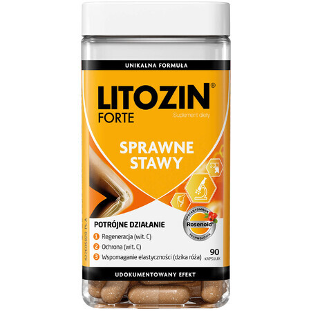 Litozin Forte, 90 gélules