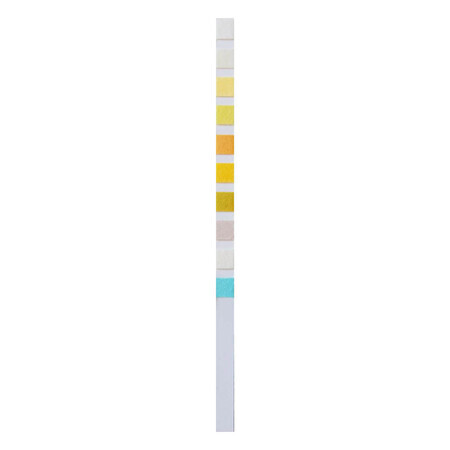 Home Laboratory URS 10 General Urinalysis, home test for urine parameters, 2 units