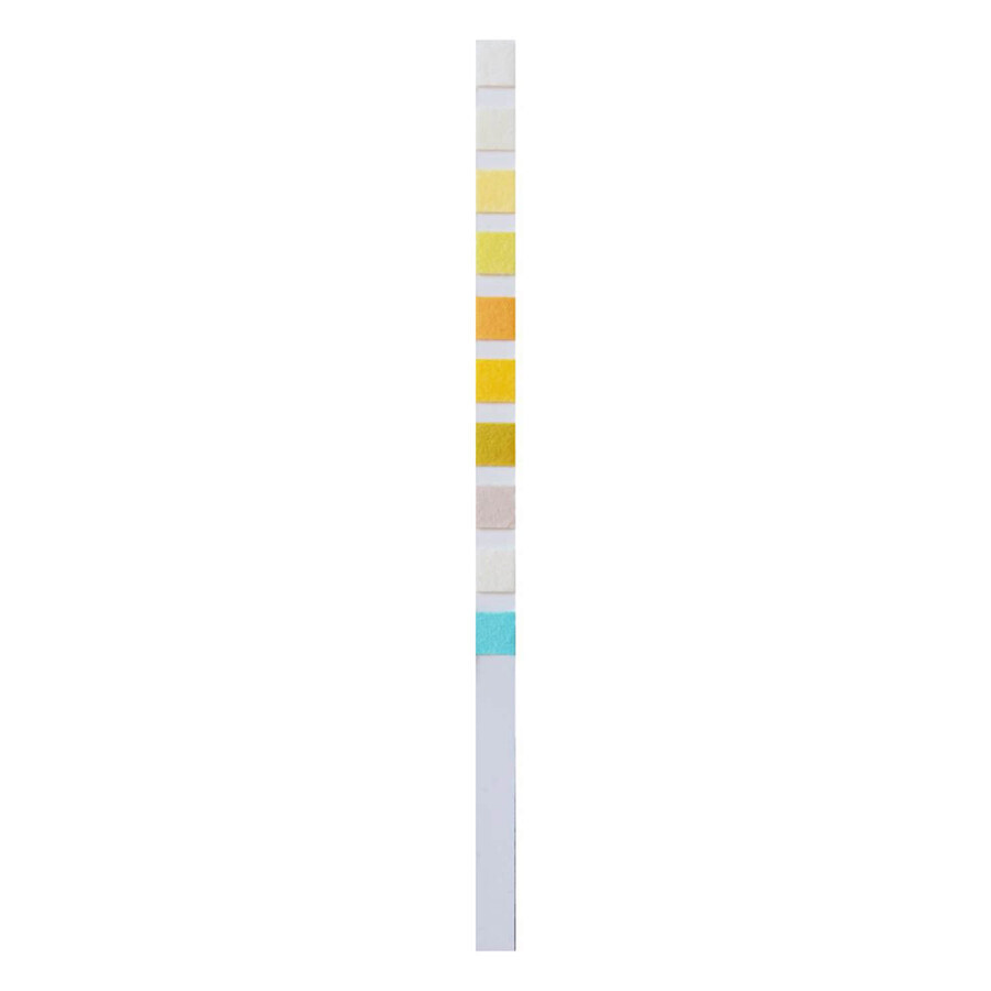 Home Laboratory URS 10 General Urinalysis, home test for urine parameters, 2 units