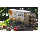 Olimp Gold-Vit B Forte, 60 omhulde tabletten