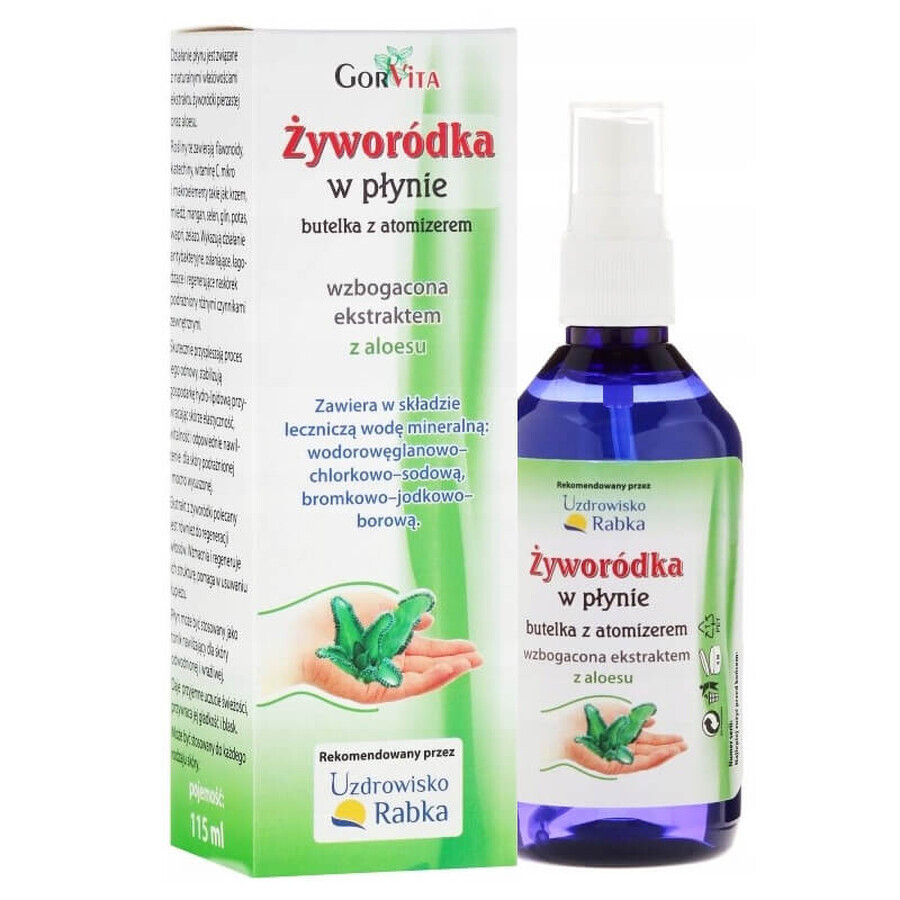 GorVita, Flüssigharz mit Aloe-Vera-Extrakt angereichert, 115 ml