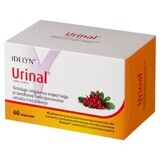 Urinal, 60 capsules