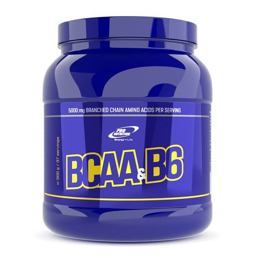 BCAA+B6 - TÈ FREDDO ALLA PESCA, 300g, Pro Nutrition