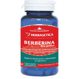Bio-actieve Berberine, 60 capsules, Herbagetica
