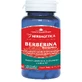 Berberina Bio-activa, 60 cápsulas, Herbagetica