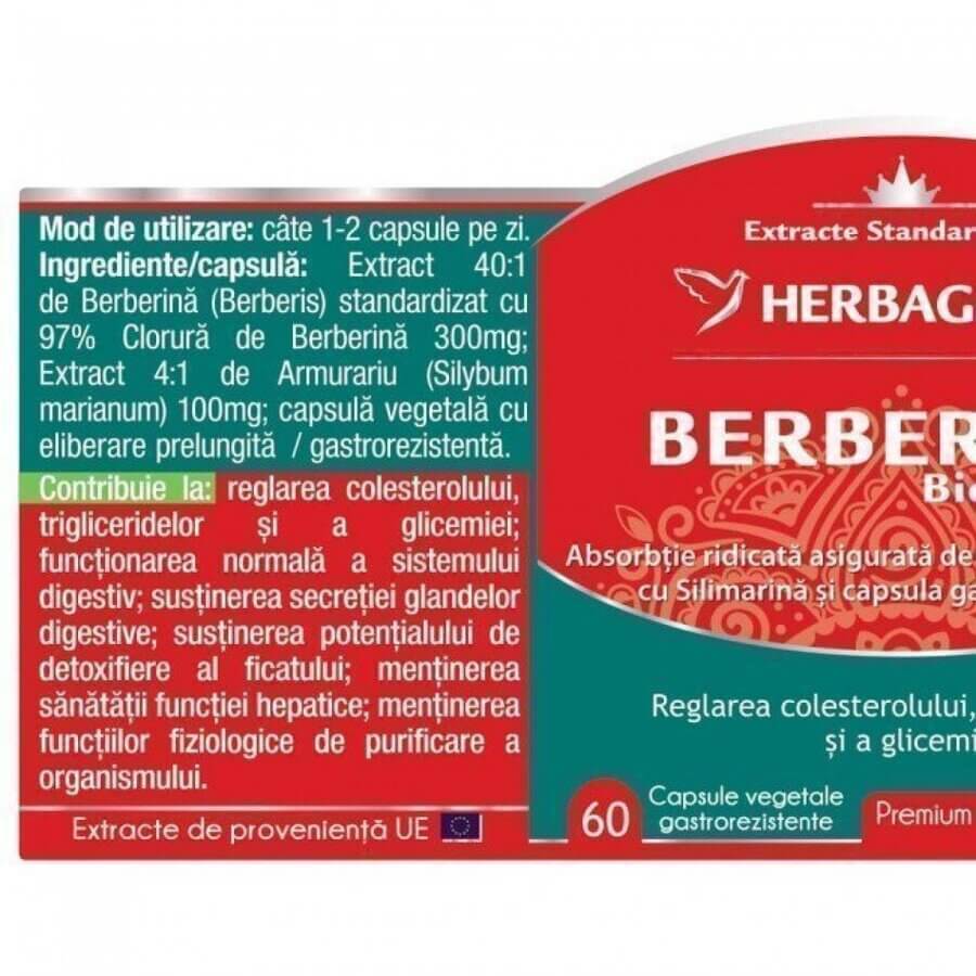 Berbérine bio-active, 60 gélules, Herbagetica