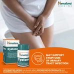 Himalaya Cystone, 100 tabletten