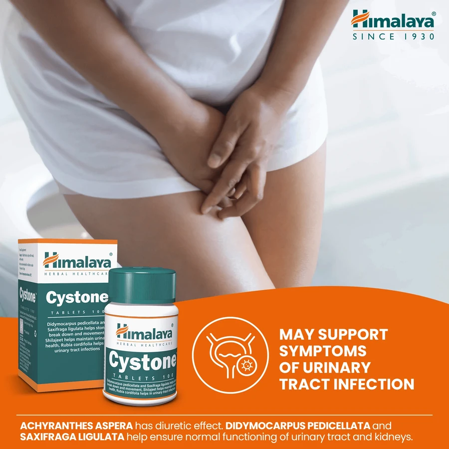 Himalaya Cystone, 100 tabletten