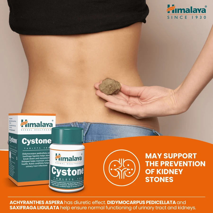 Himalaya Cystone, 100 tabletten