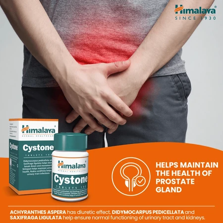 Himalaya Cystone, 100 tabletten