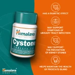 Himalaya Cystone, 100 tabletten