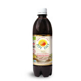 Joy Day Bebida probiótica concentrada, Topinambur, Bio, 500 ml