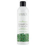 Vianek Shampoo Normalizzante per Capelli 300ml