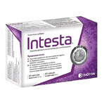 Intesta, 60 capsule